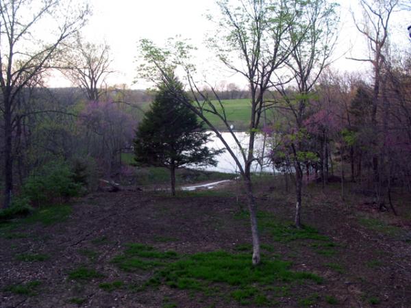 back yard this evening, 3/30/2012
The trees with the pink blossoms are 'Redbed'; a tree common in this area.