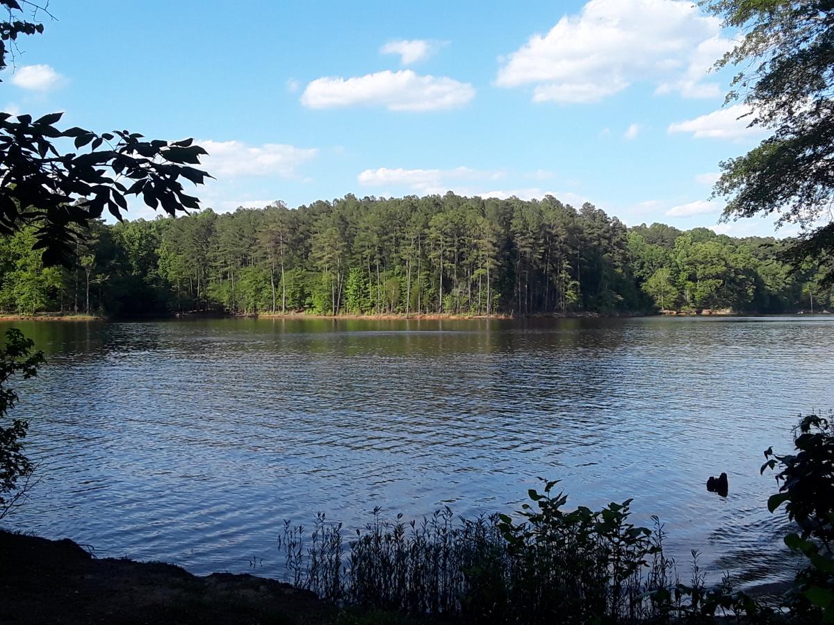 Bandits Roost camp ground W. Kerr Scott Reservoir.