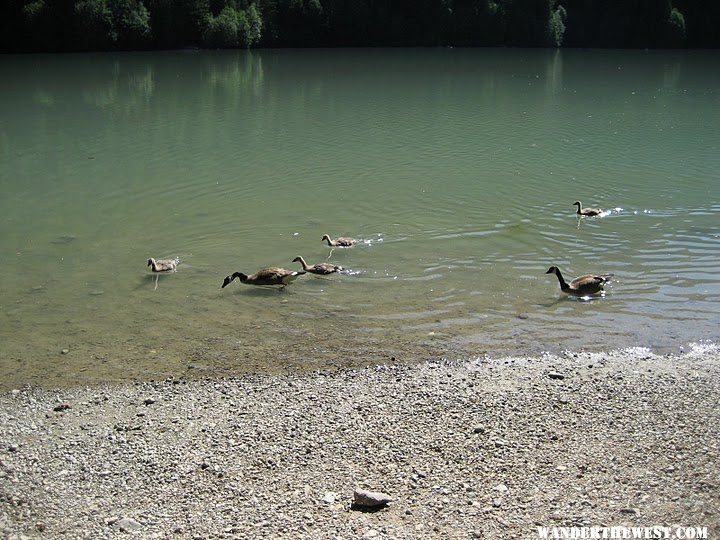 Beach site view