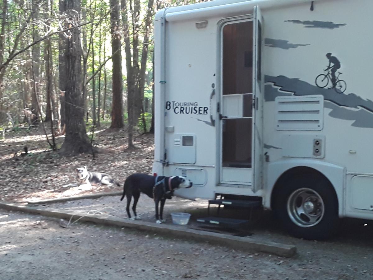 Beautiful site at Bandits Roost Wilkesboro, NC