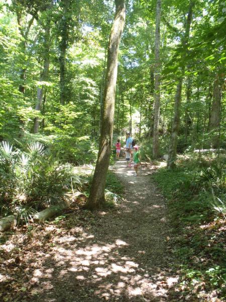 Beech Magnolia Trail - Florida Caverns SP - Memorial Day wkd