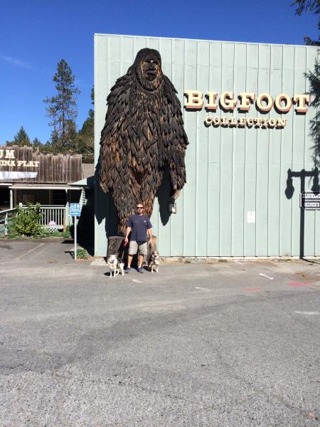 Big Foot Museum in Willow Creek, Ca...because...Why Not?