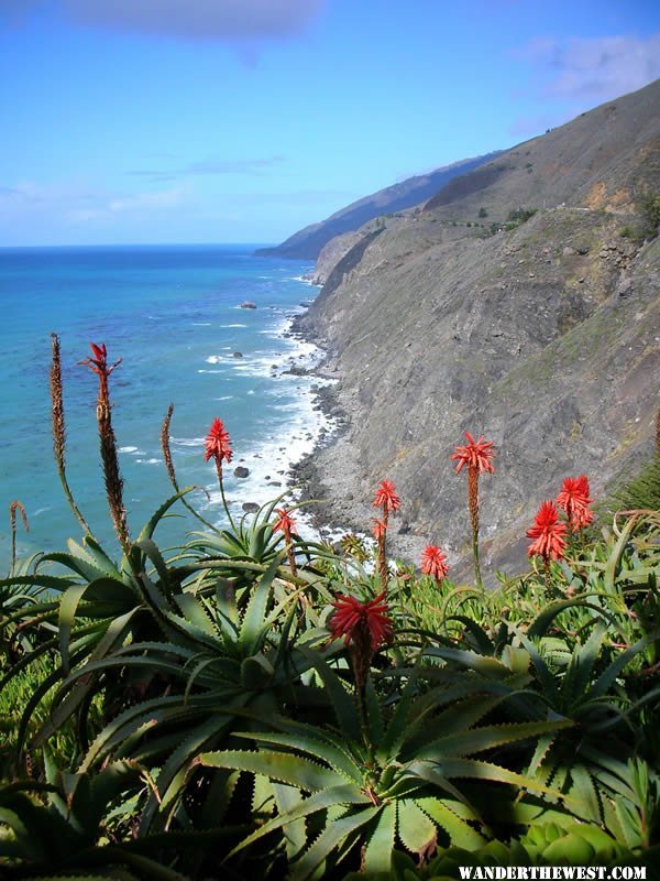 Big Sur Coast