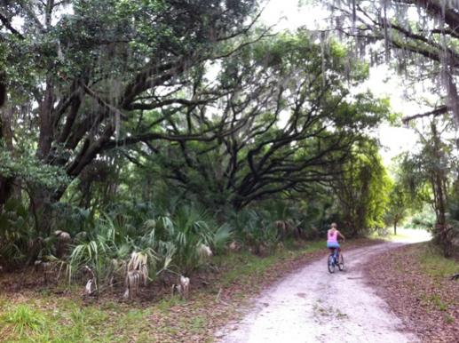 bike/hike trail