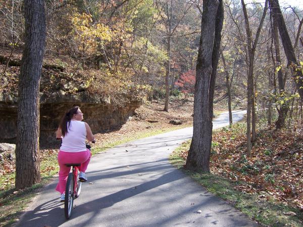 Bike paths have gentle rises, not too bad.