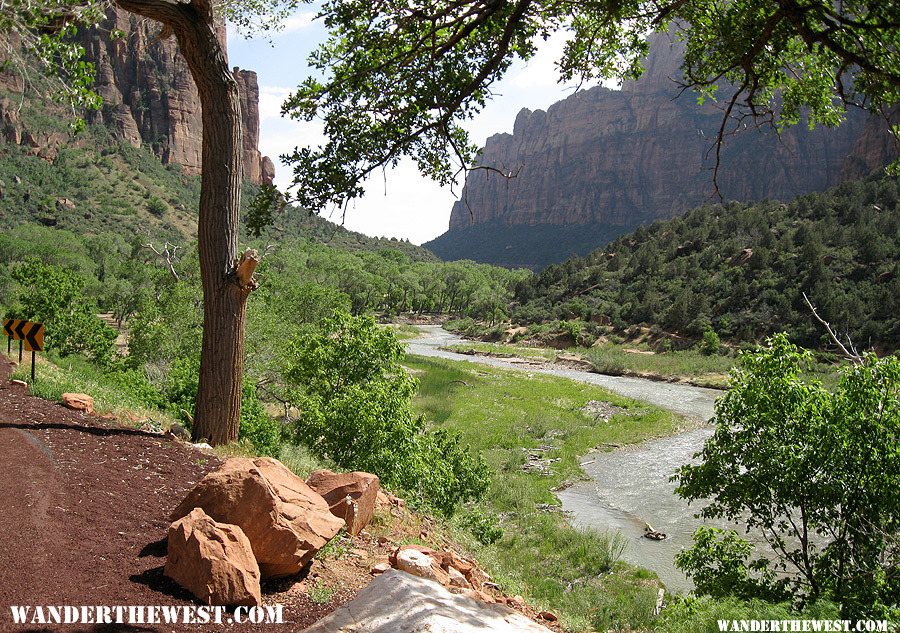 Biking Zion Canyon