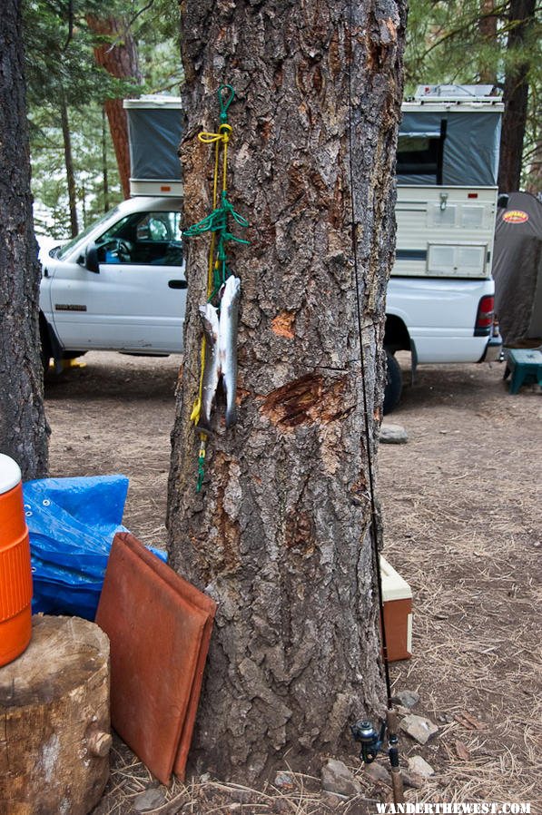 Blue Lake Campground - Modoc National Forest