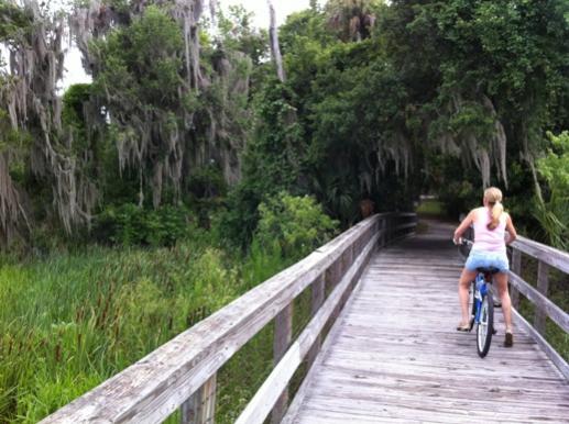 Boardwalk/Trail