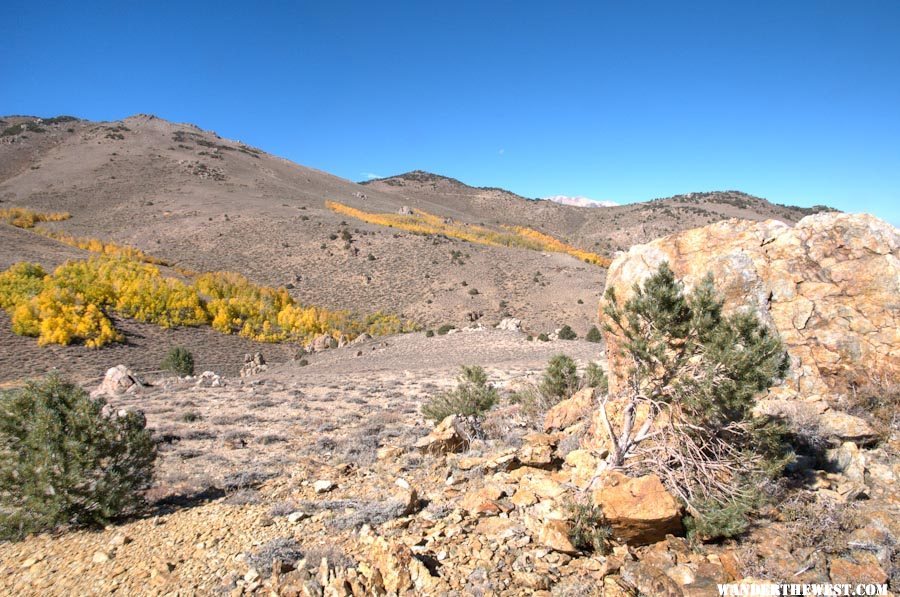 Bodie Hills Aspen