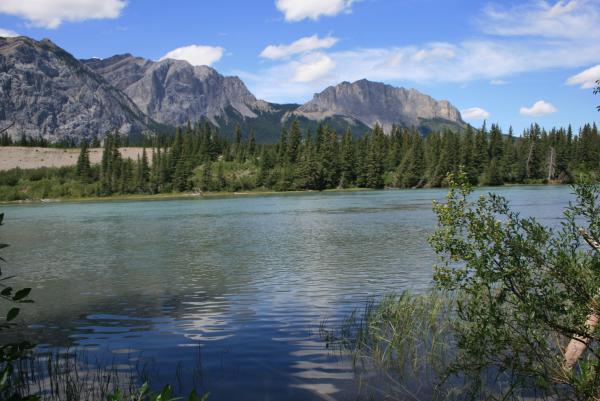 Bow Valley Campground - Kananaskis, AB