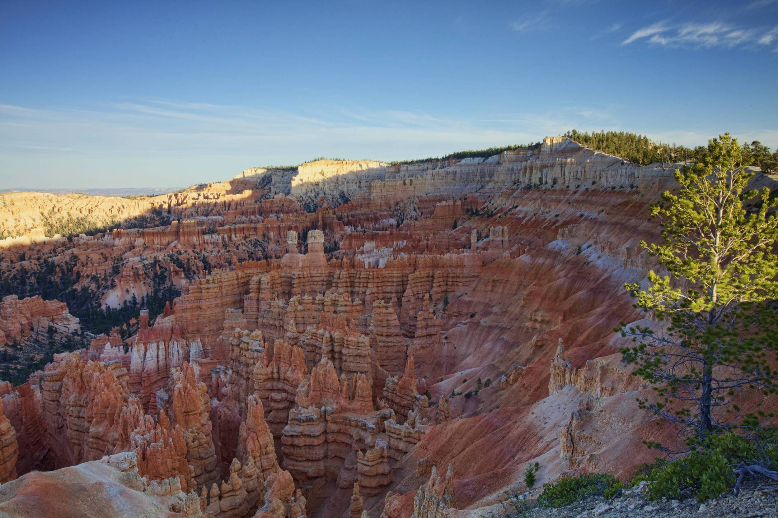 Bryce Canyon Amphitheater Evening