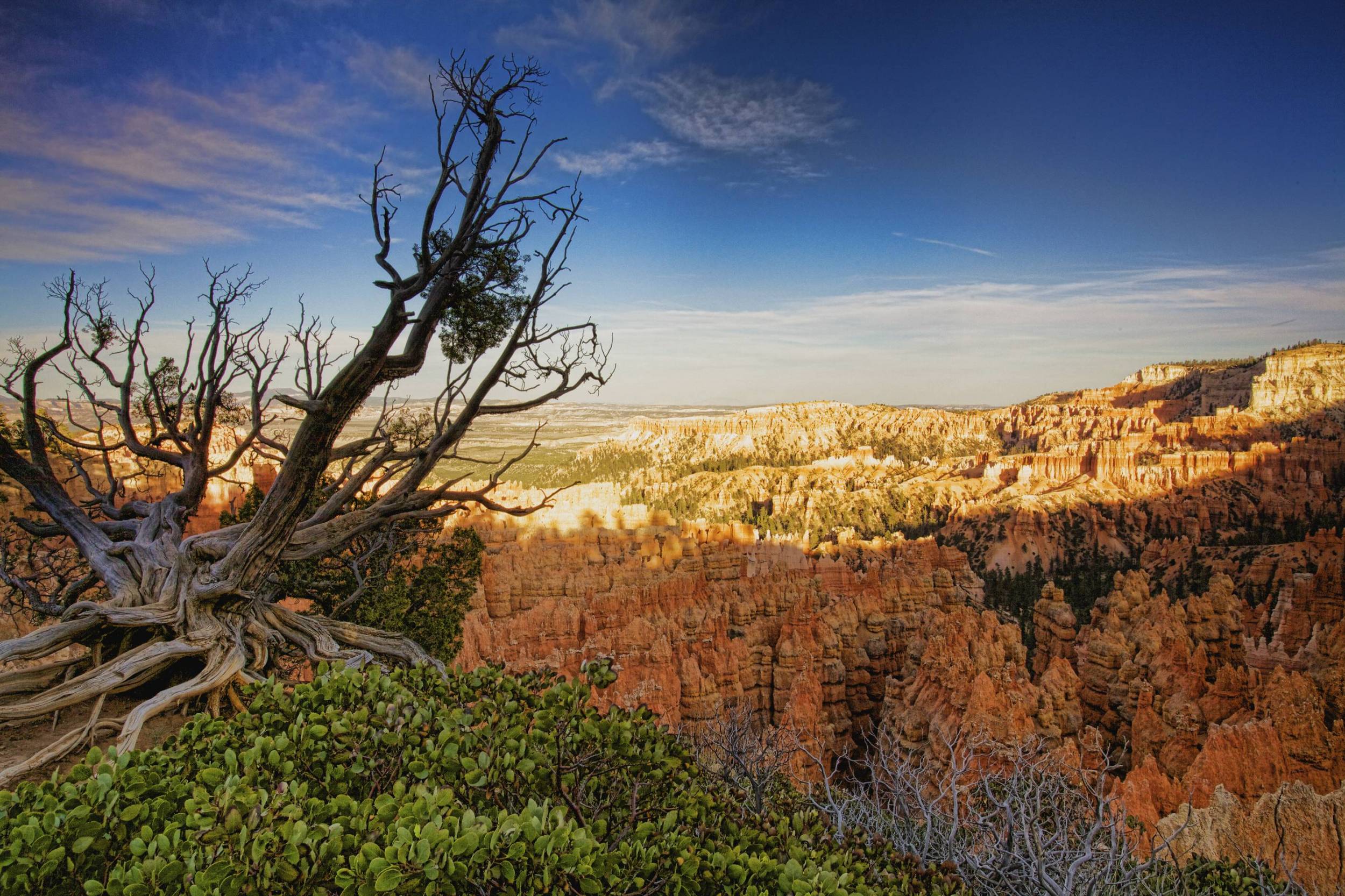 Bryce Canyon Evening Hike