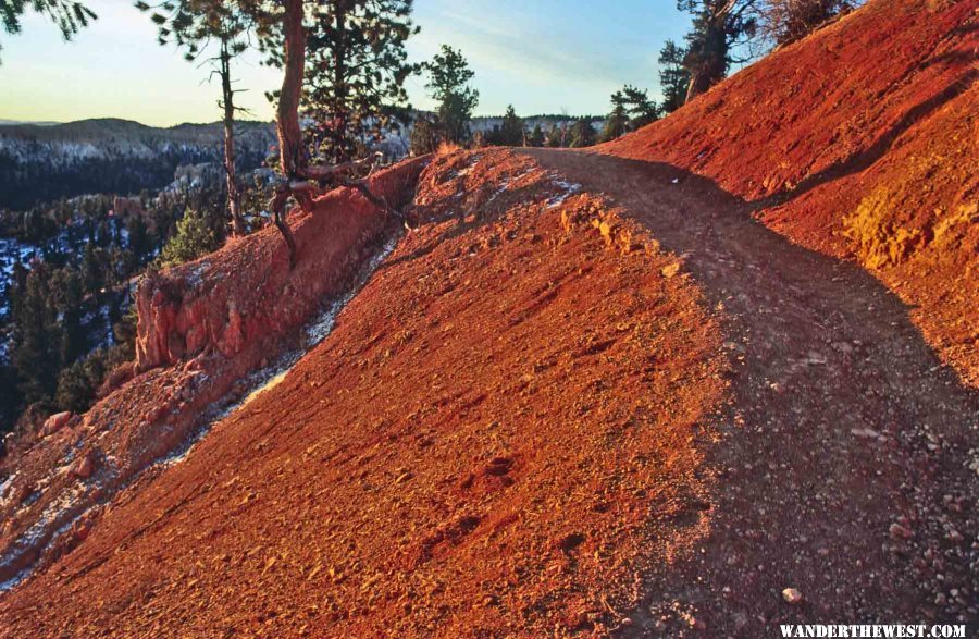 Bryce Canyon's Rim Trail at sunrise--red sun on red rock