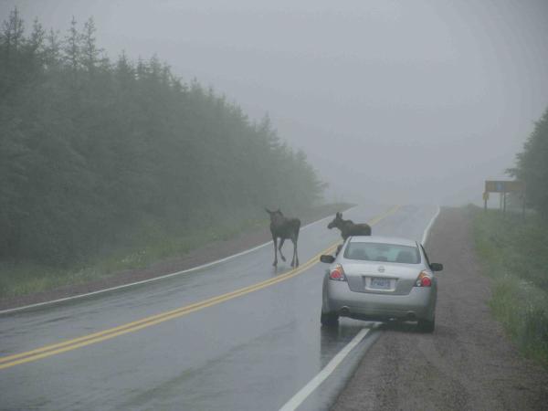 Cabot Trail, Nova Scotia Canada