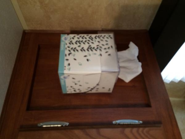 Camco tissue box holder mounted above the dinette.  We always had a box of tissue floating around, and while the $15 we paid for this baby was outrage