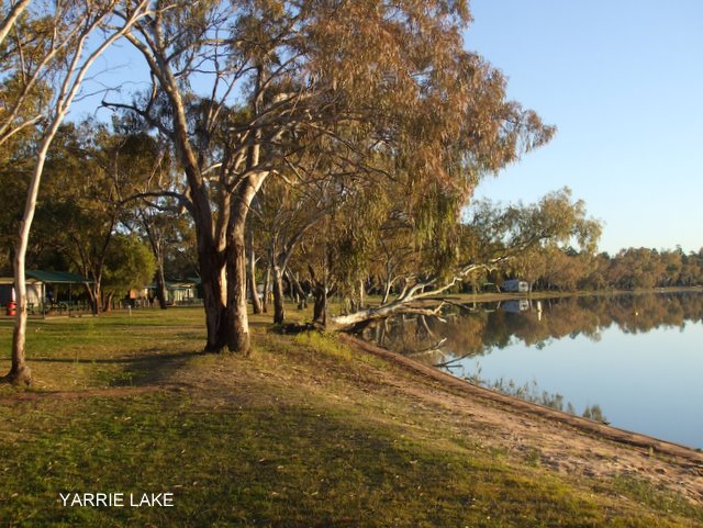 Campground at Yarrie Lake. Nsw