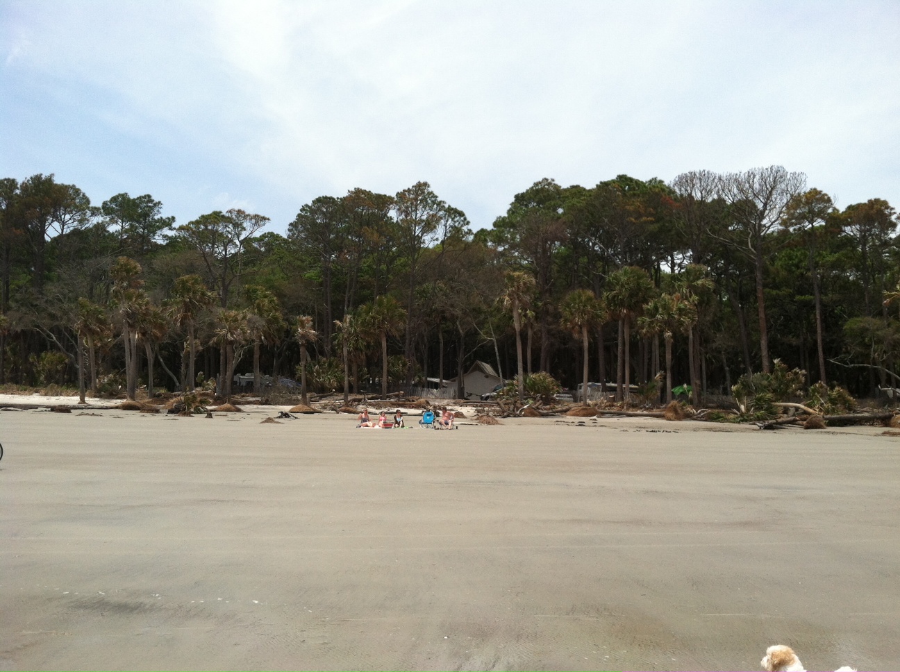 Campground_from_Beach1