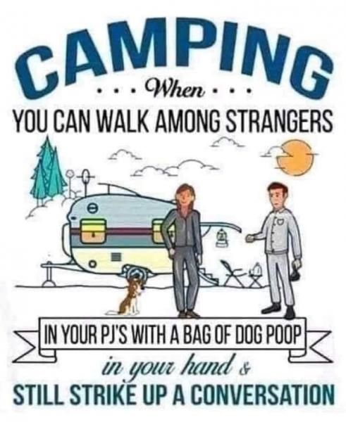 Camping wPJs and dog poop