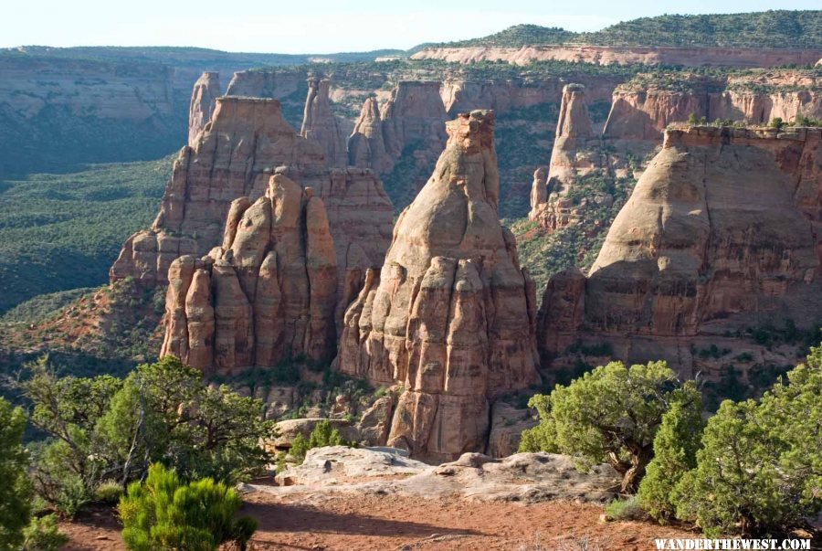 Canyon Rim View