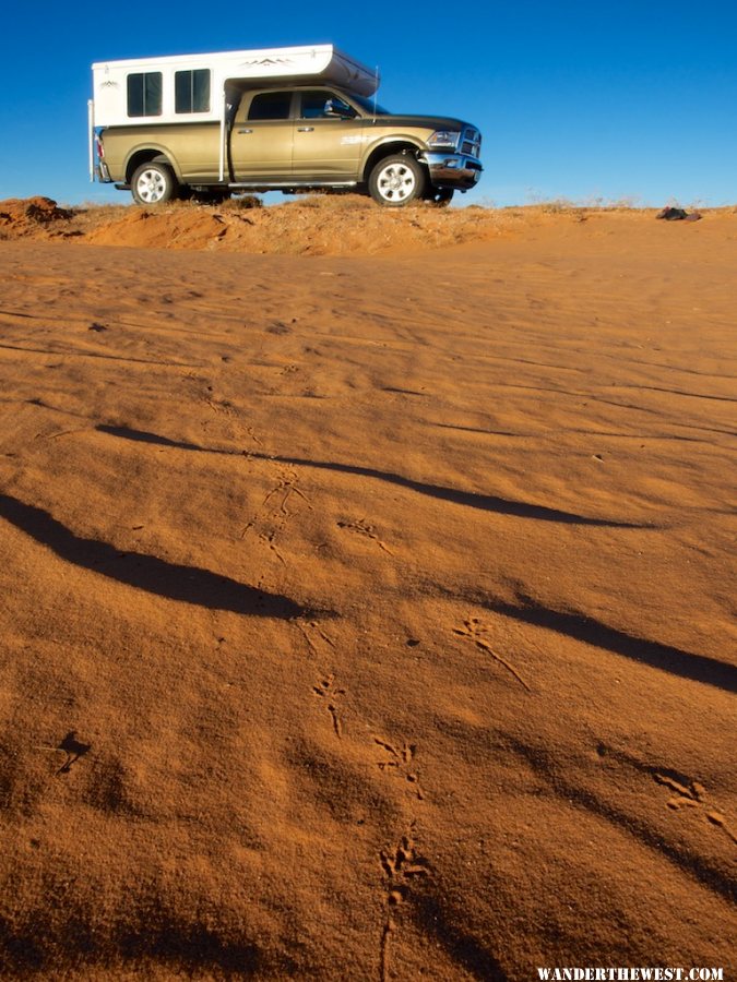 Canyonlands tracks