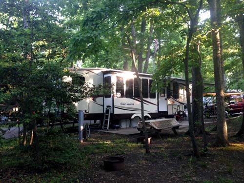 Cape May NJ - amongst the trees