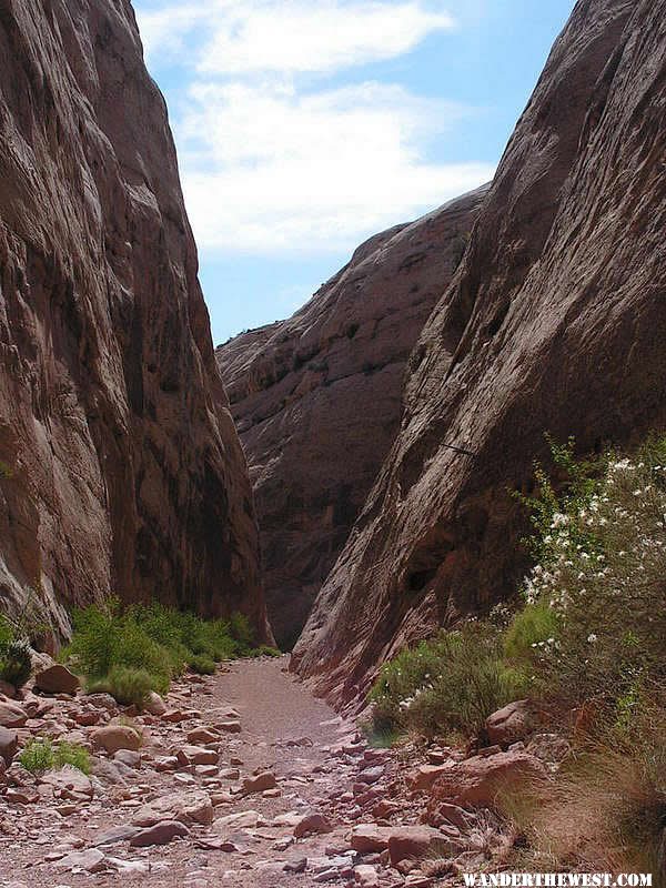 Capitol Gorge