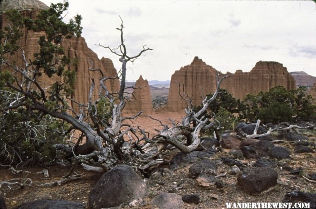 Capitol reef 46.jpg