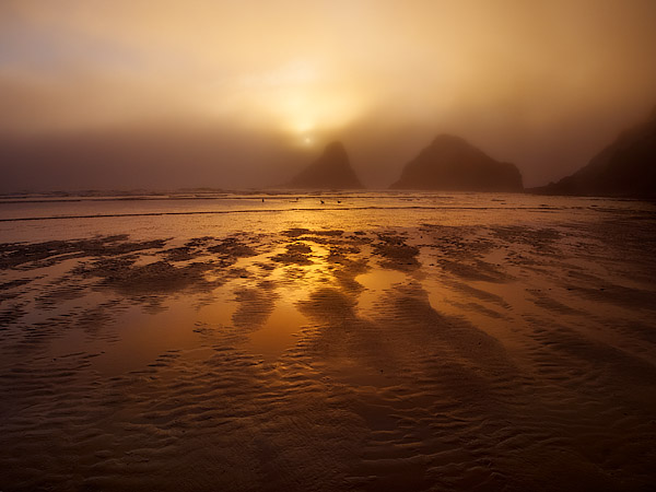 Carl Washburne State Park,  Oregon Coast