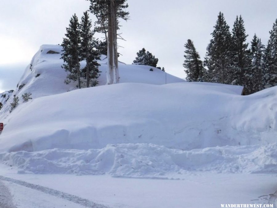 Carson Pass January 2017 001