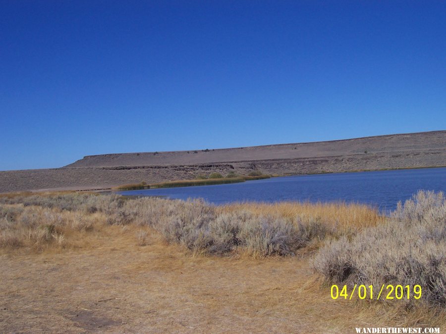 Catnip Res. Sheldon NWR, Nevada(04/07/2020)