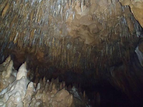 cave flashlight tour - Florida Caverns SP - Memorial Day wkd