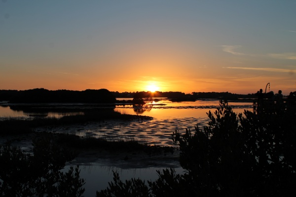 Cedar Key March '14