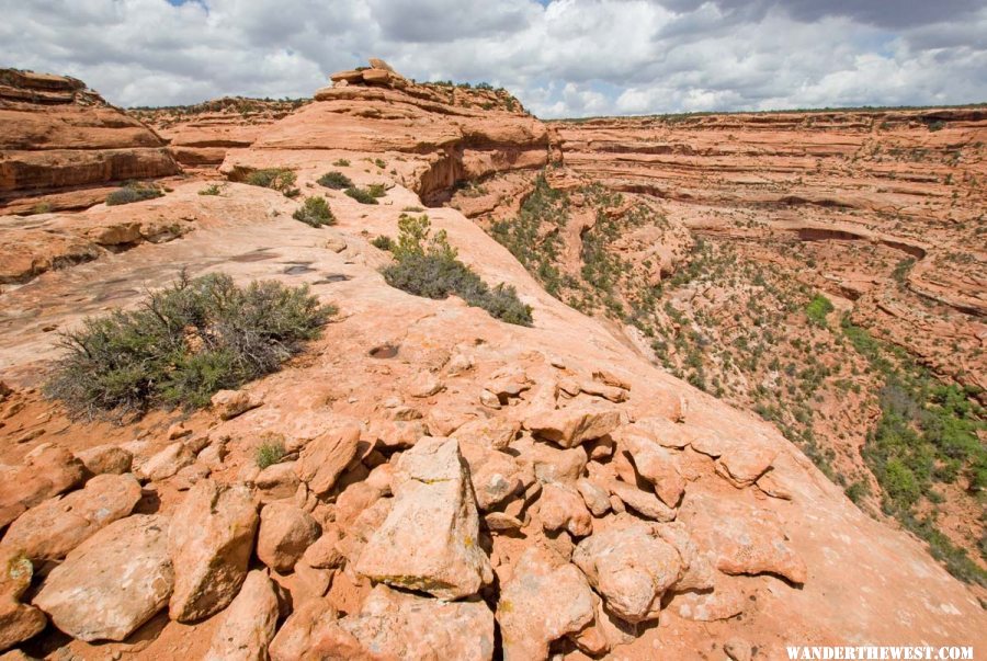 Cedar Mesa, UT