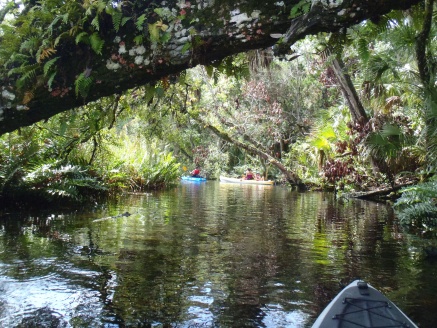 Chassahowitzka River, Aug '14