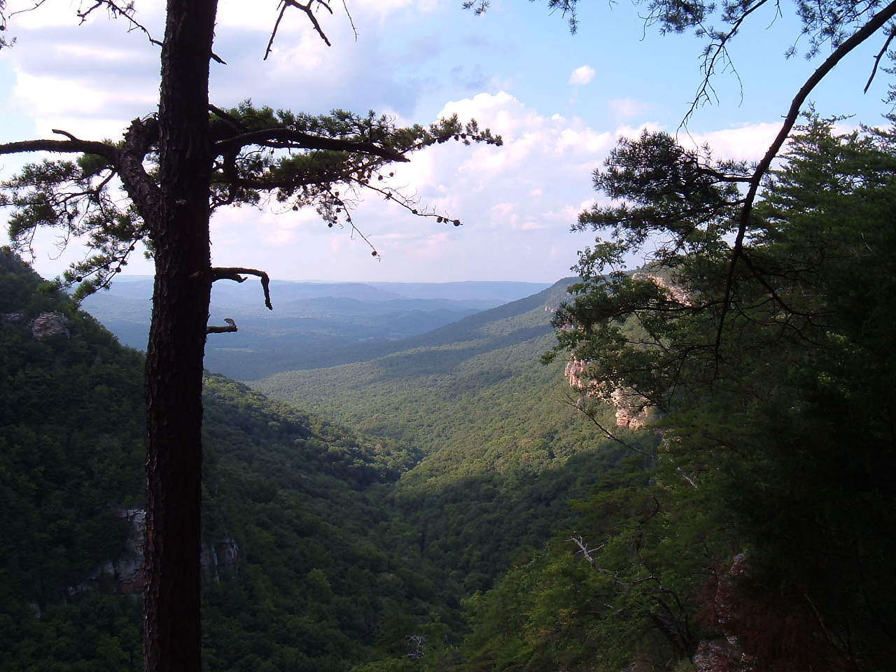 Cloudland Canyon View 1