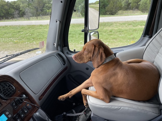 Co-Pilot Rhea enjoys the lap of luxury.