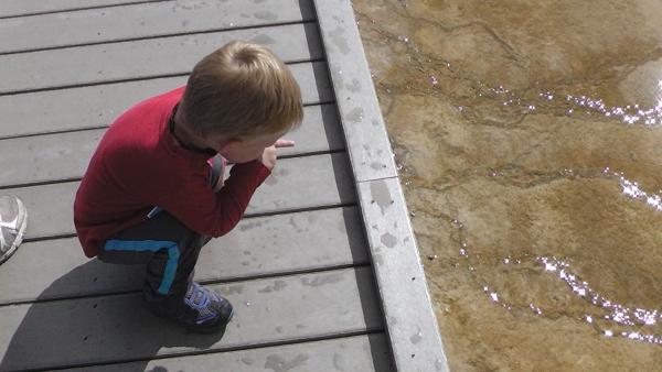 Corbin checking out the bacterial mats