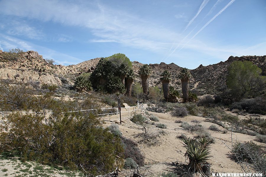 Cottonwood Spring