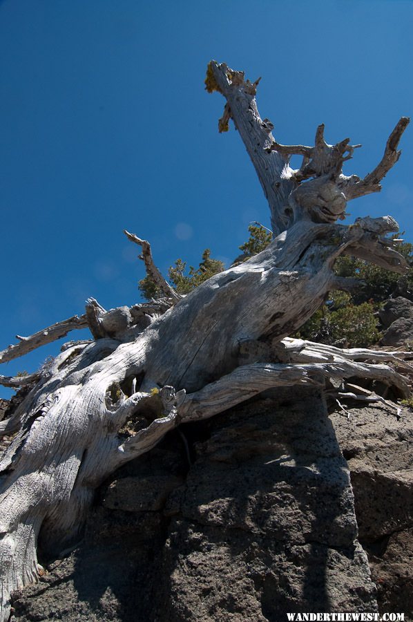 Crater Lake - Garfield Peak trail