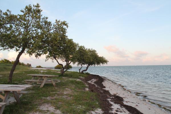 Curry Hammock SP, Marathon, FL