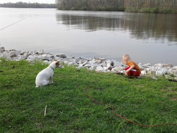 Daisy watching Reese spring 2012