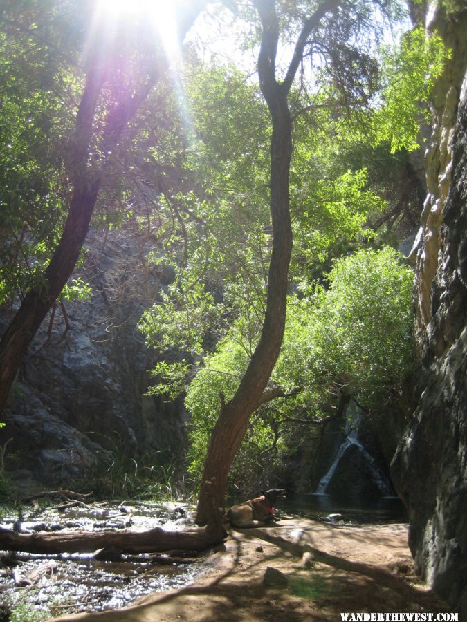 Darwin Falls Fairyland