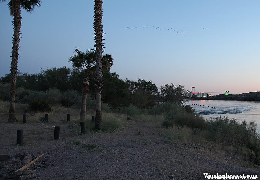 Davis Camp RV Park - Bullhead City, Arizona