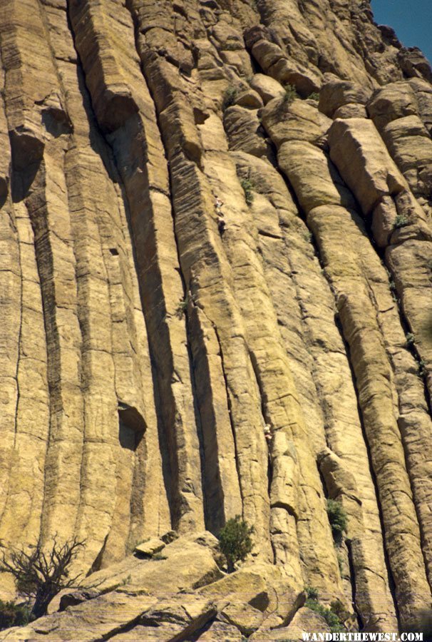 Devils Tower