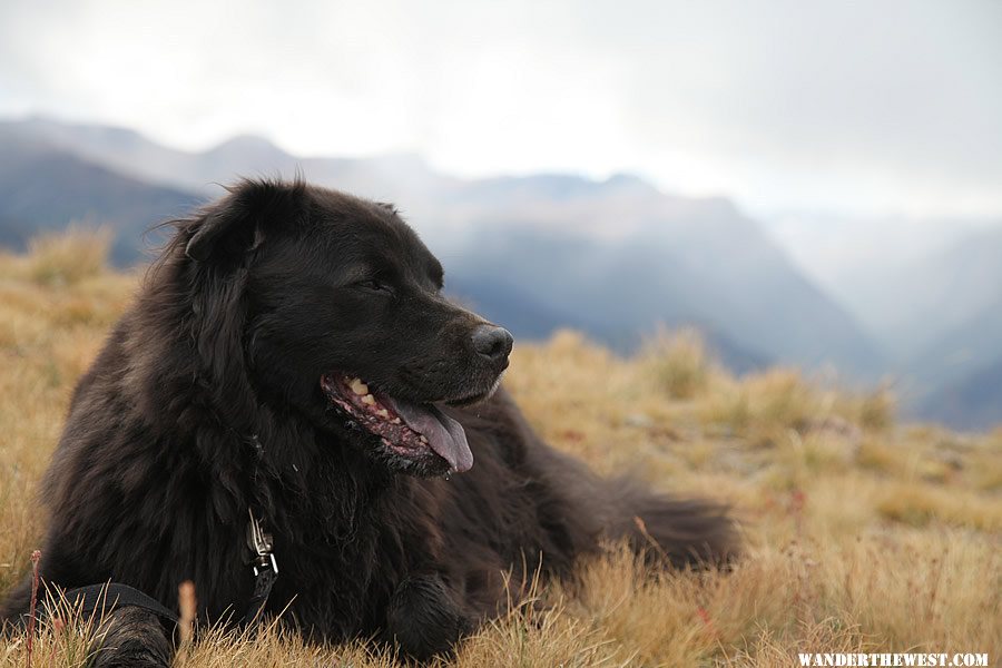 Diego at the Summit