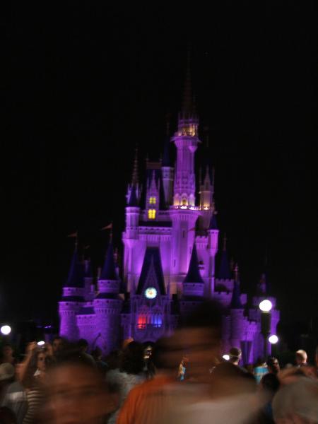 Disney World Castle at night.