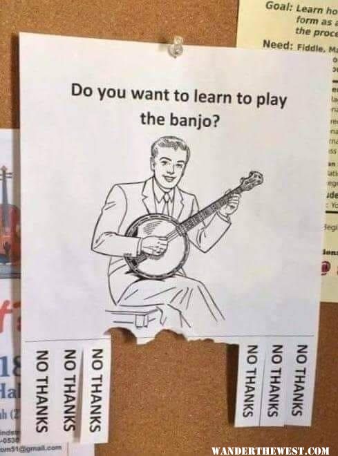 Do You Want To Learn The banjo