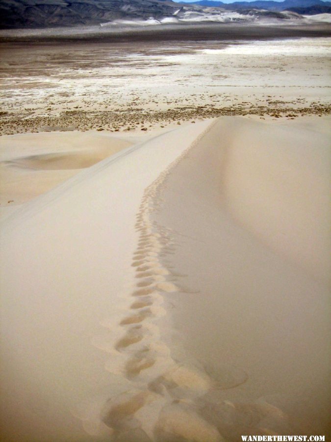 Dune steps