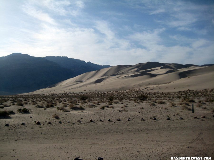 Dunes from the bottom