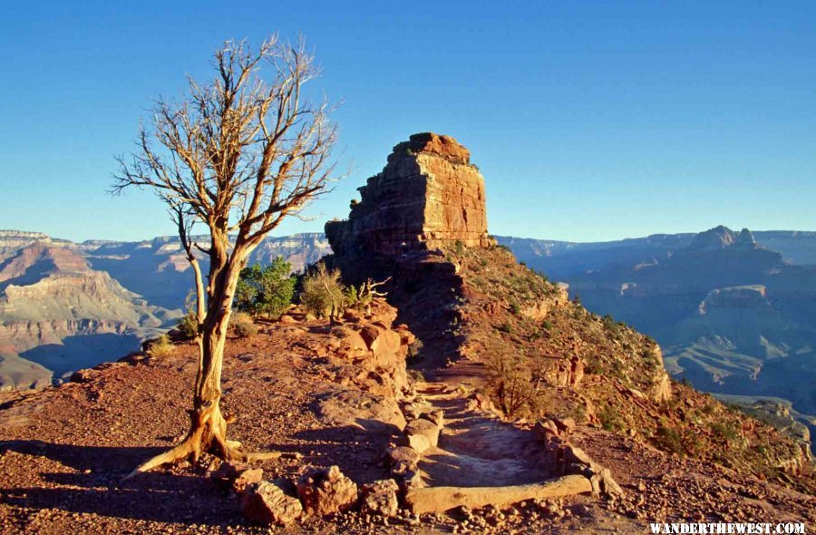 Early light on the South Kaibab, heading down 4,800 ft